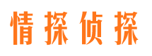 高阳市私家侦探